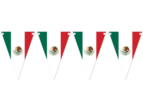 Banner Mexican Flag - 5m